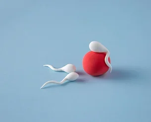 Sperm Bağışı