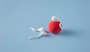 Sperm Bağışı