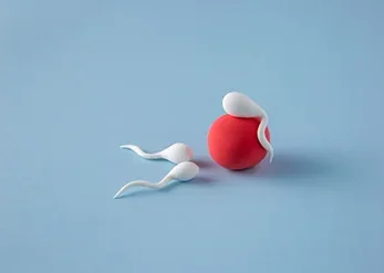Sperm Bağışı