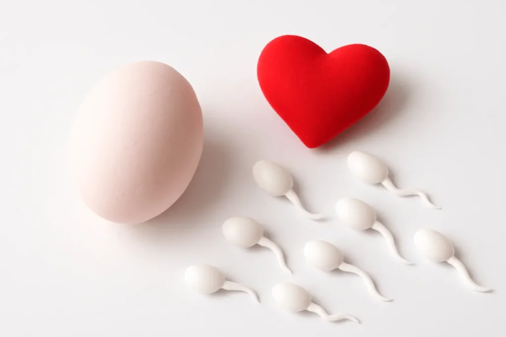 Embriyo Bağışı (Double Donation) – Kıbrıs Tüp Bebek Merkezi’nin Gelişmiş Donör Programı